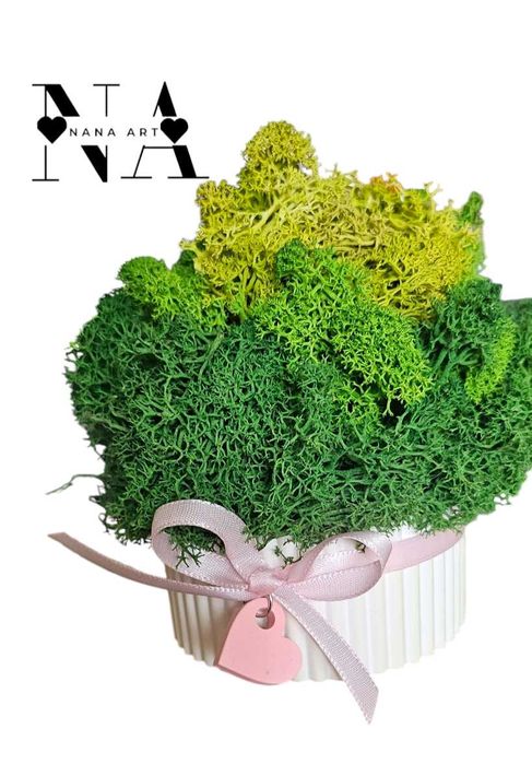 Кашпа със скандинавски мъх