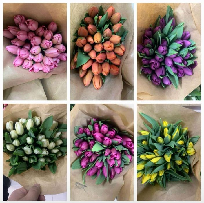 Тюльпаны оптом по очень 450 тг