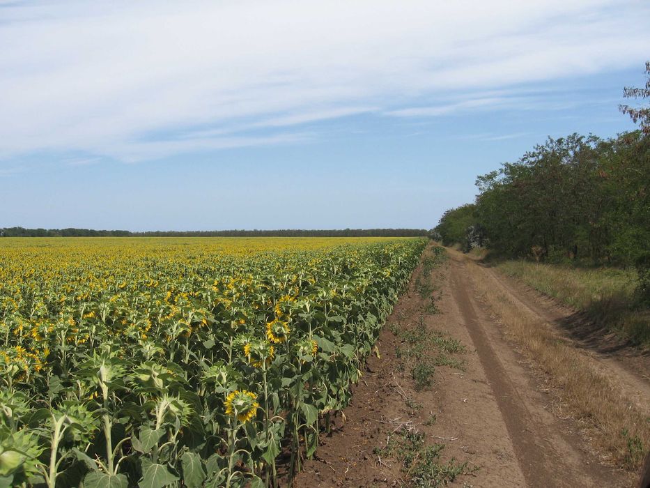 Продава се Парцел в с. Дуранкулак, Област Добрич - 20000 кв.м за 58 €/кв.м - Снимка #7