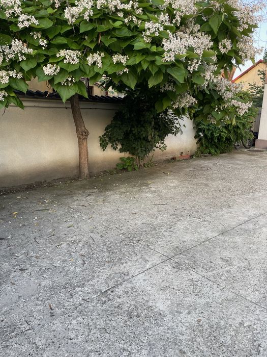 Vand locuri parcare