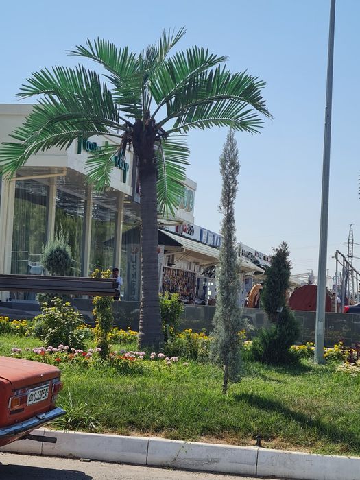 Искусственная пальма 4,3 размер китай  60кг широкий ассортимент