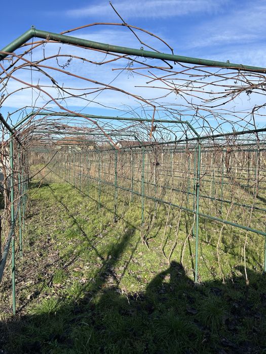 Vand teren intravilan la Dunare in localitatea Vrancea, Mehedinti