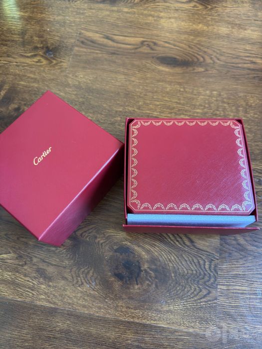 Cartier santos skeleton
