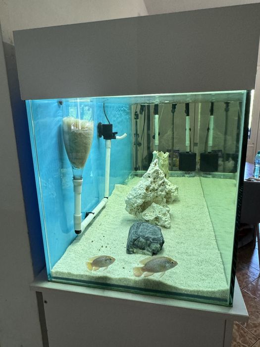 Acvariu 400l sticla de 10mm