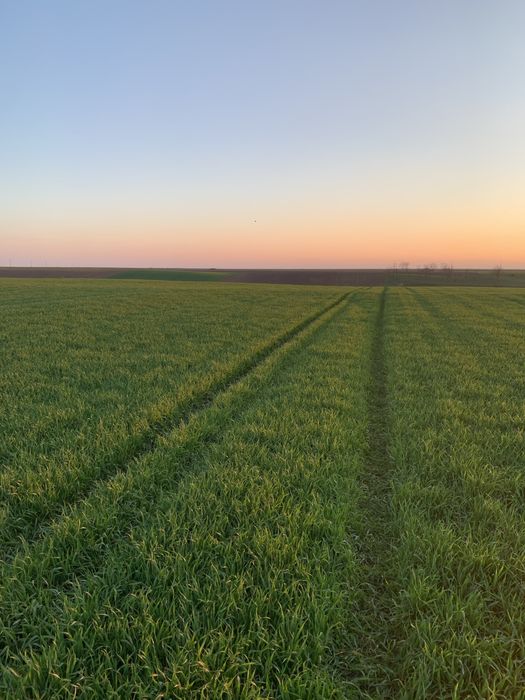 Tund iarba pe zona Oradea