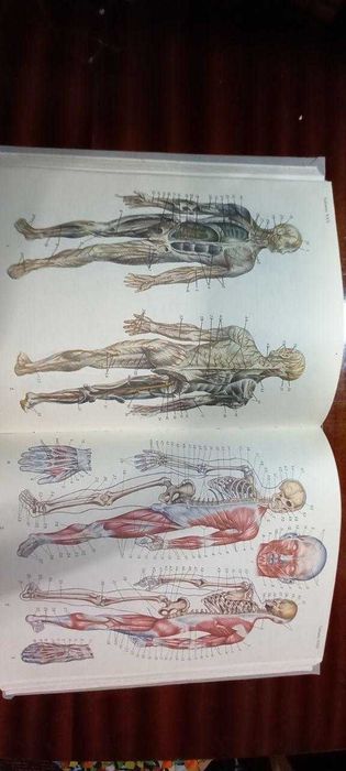 Книги о здоровье