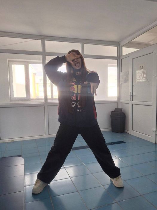 Продам Шатланских / Британских котят