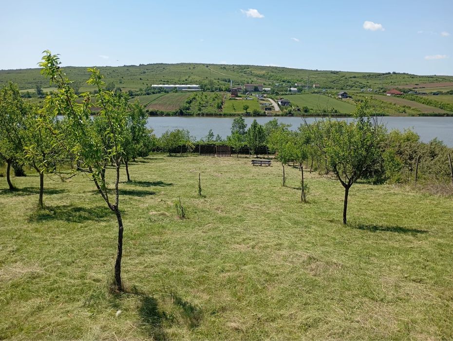 Vând teren extravilan Lacul Țaga Mare