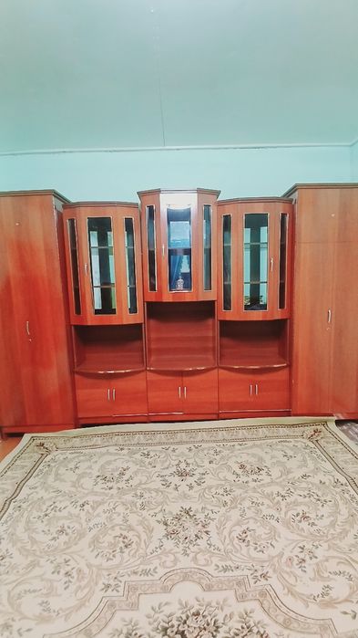 Jigarrang mebel 5 tasi birda