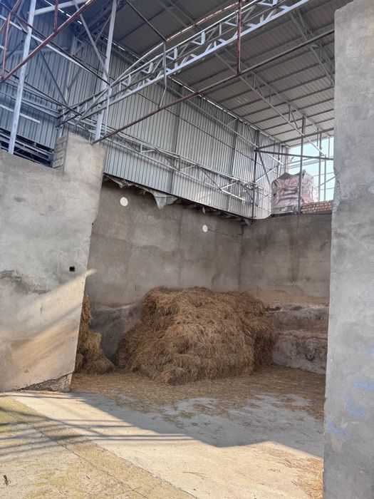 Мол Ферма арендага берилади ёки сотилади