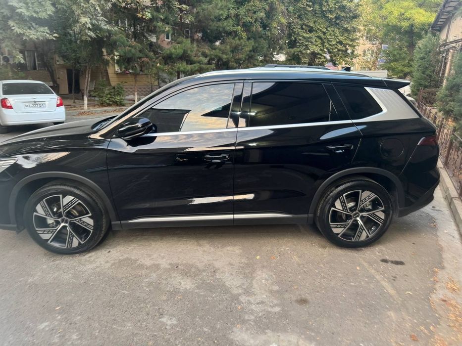 Byd song pro dmi chempion