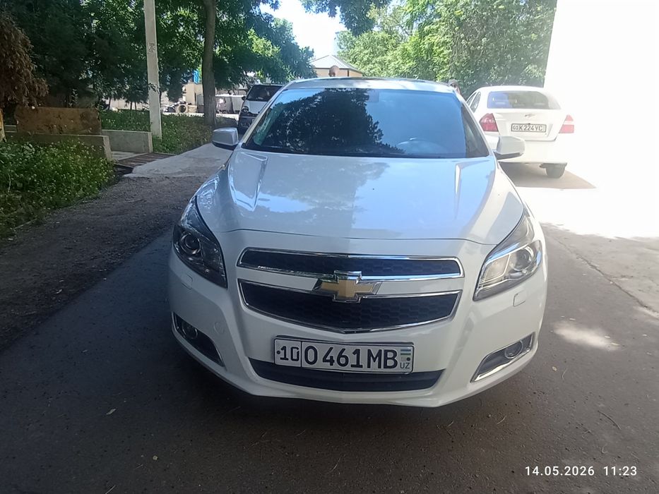 Malibu1 zor xolada