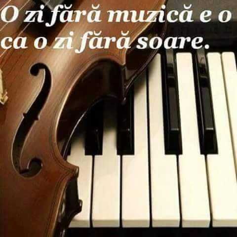 Cursuri orga Braila