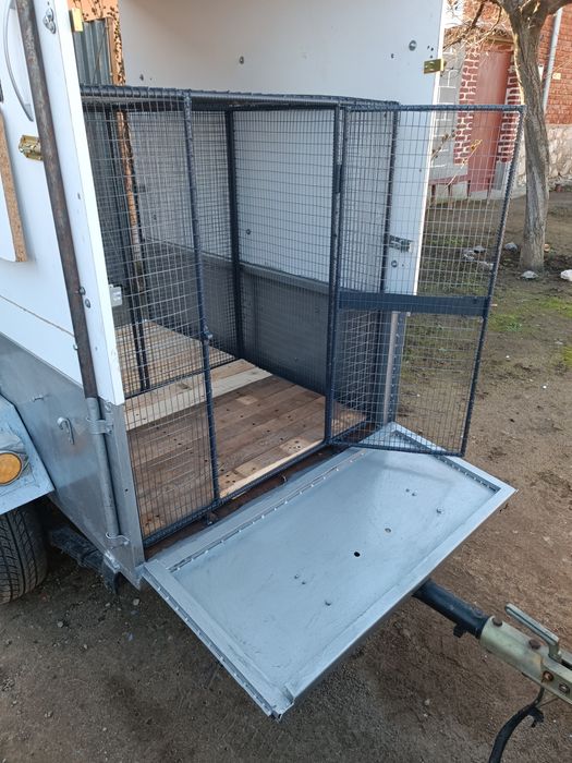 Превоз на домашни любимци в България