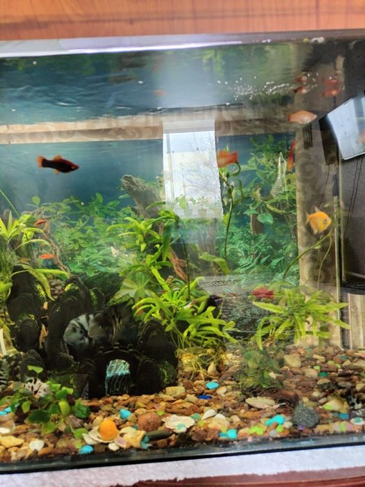 Срочно Продам аквариум