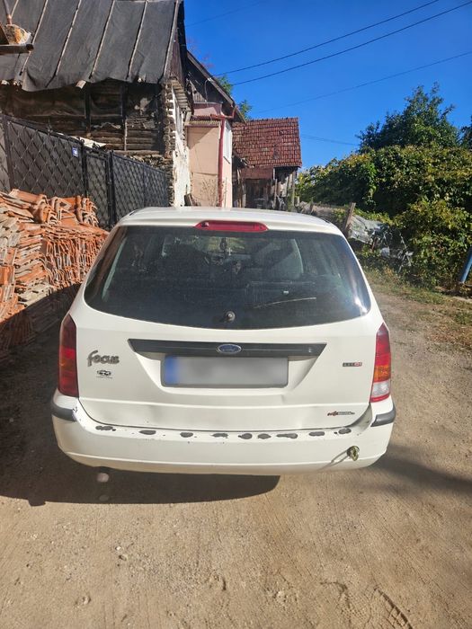 De vanzare foed focus