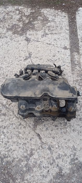 Коллектор (паук)на приору