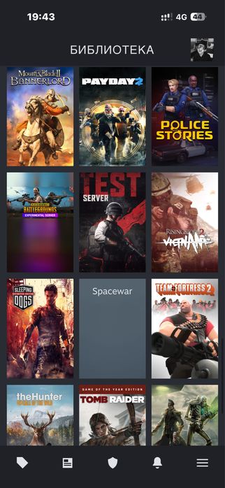 Steam account    .