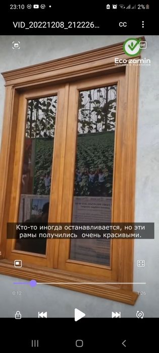 Pavloniya M1 kafolatli ko'chatlar