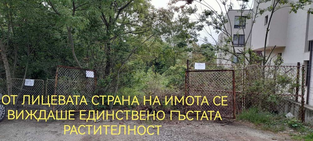 Дробилка за клони. Почистване на запустели терени и дворове