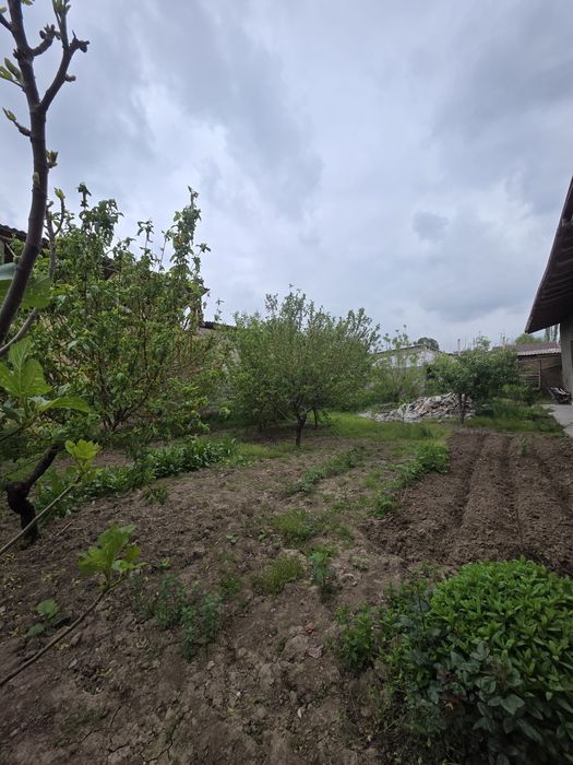 Дурмон  махалласида 5 хона  7 сотихли уй сотилади.