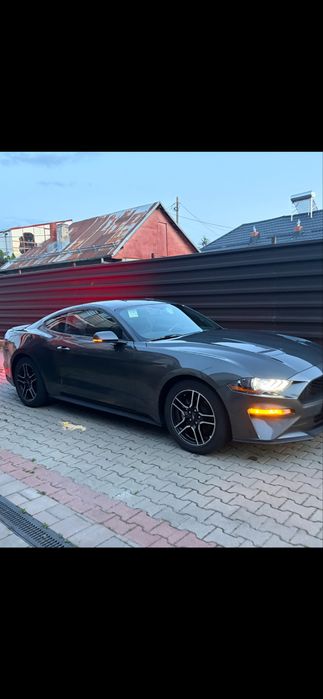 Vand Mustang 2.3