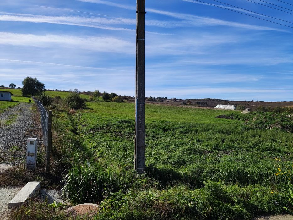 Teren Săliștea veche