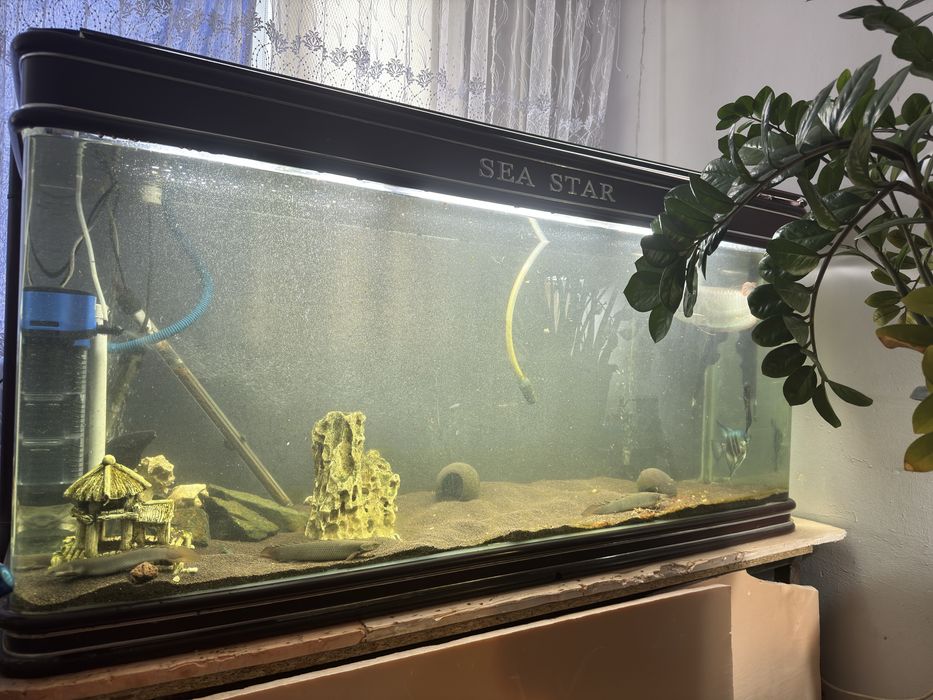 Аквариум 500 литров