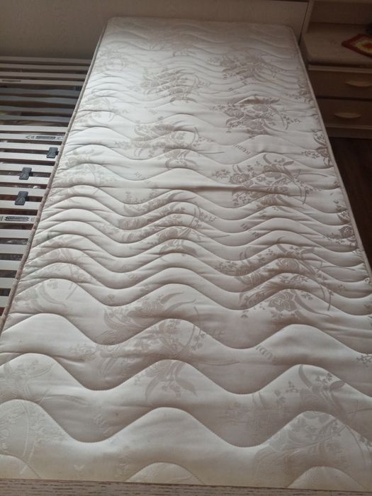 Gata cu petele de pe Canapea