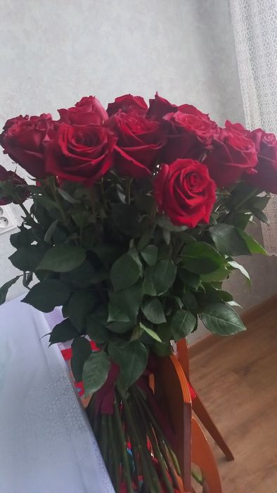 Продам  красивые цветы