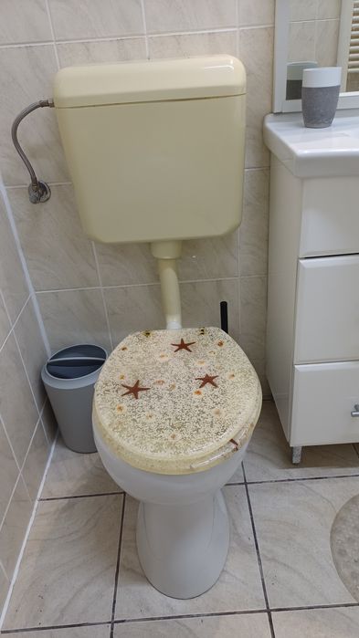 Set WC complet – vas + bazin plastic + capac