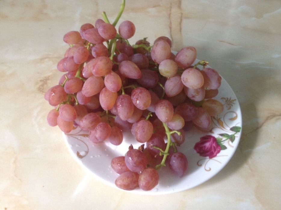 Саженцы винограда