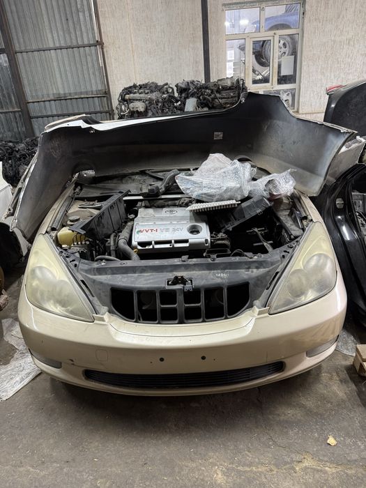 Lexus ES300 автозапчасти морда