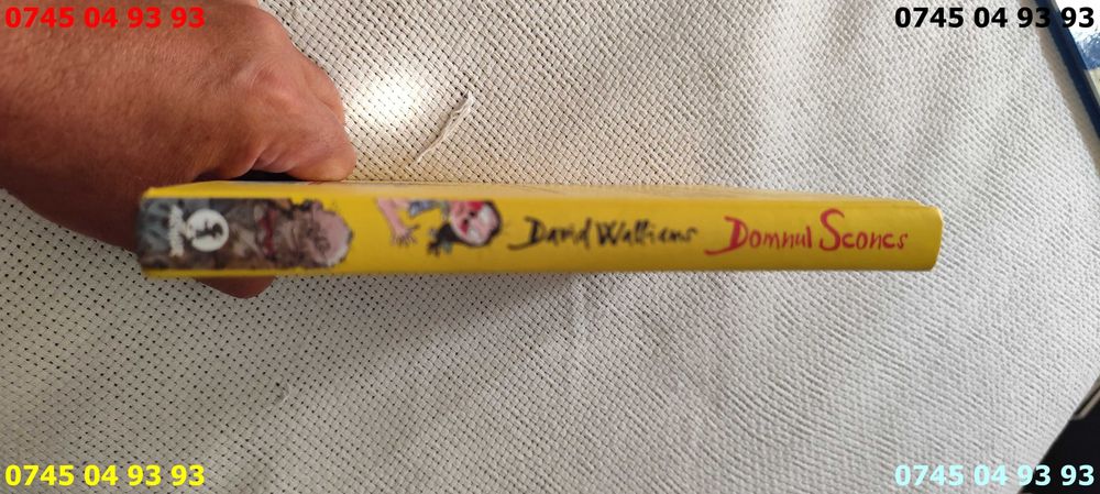 carte carti domnul sconcs David Walliams