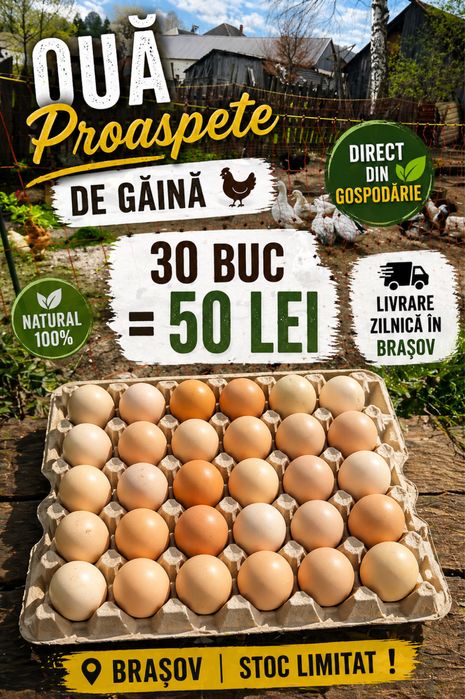Ouă proaspete de rață și găină livrare Brașov