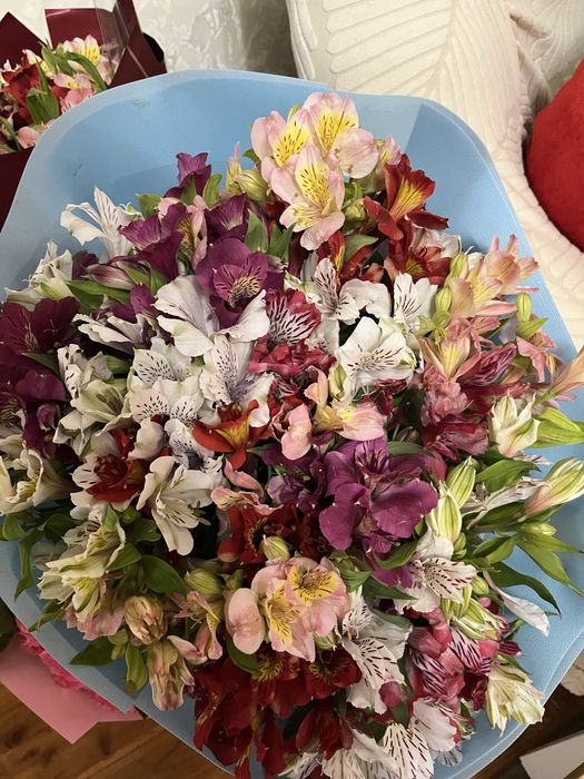 Продаю цветыыыыы