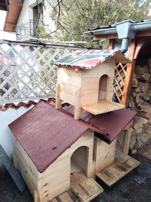 Кучешки  колиби!