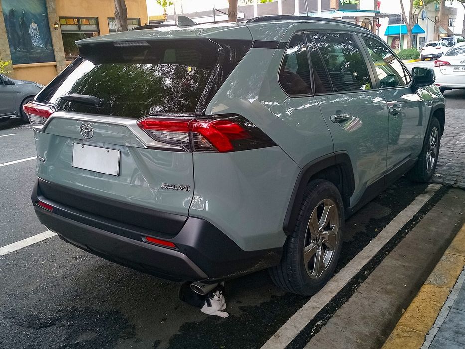 Toyota RAV4 (XA50), 2018-2022 PIESE AUTO