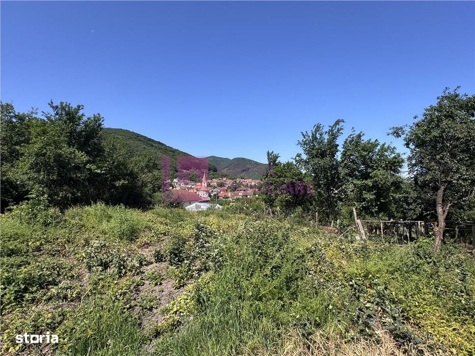 Teren intravilan de vanzare | Poplaca | loc de casa | 1.730 mp