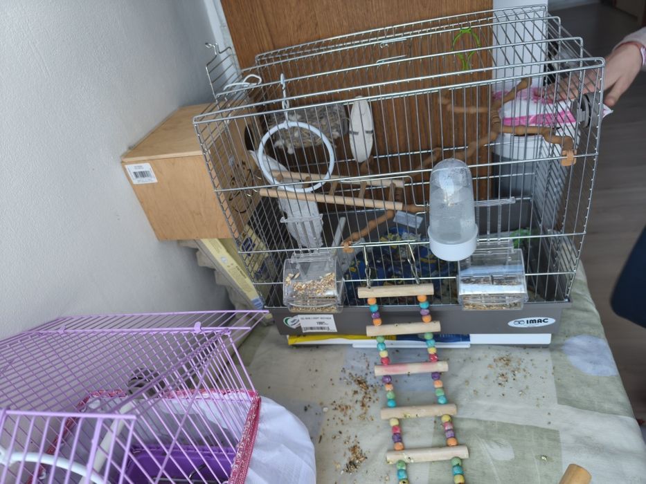 Vând cușcă papagali