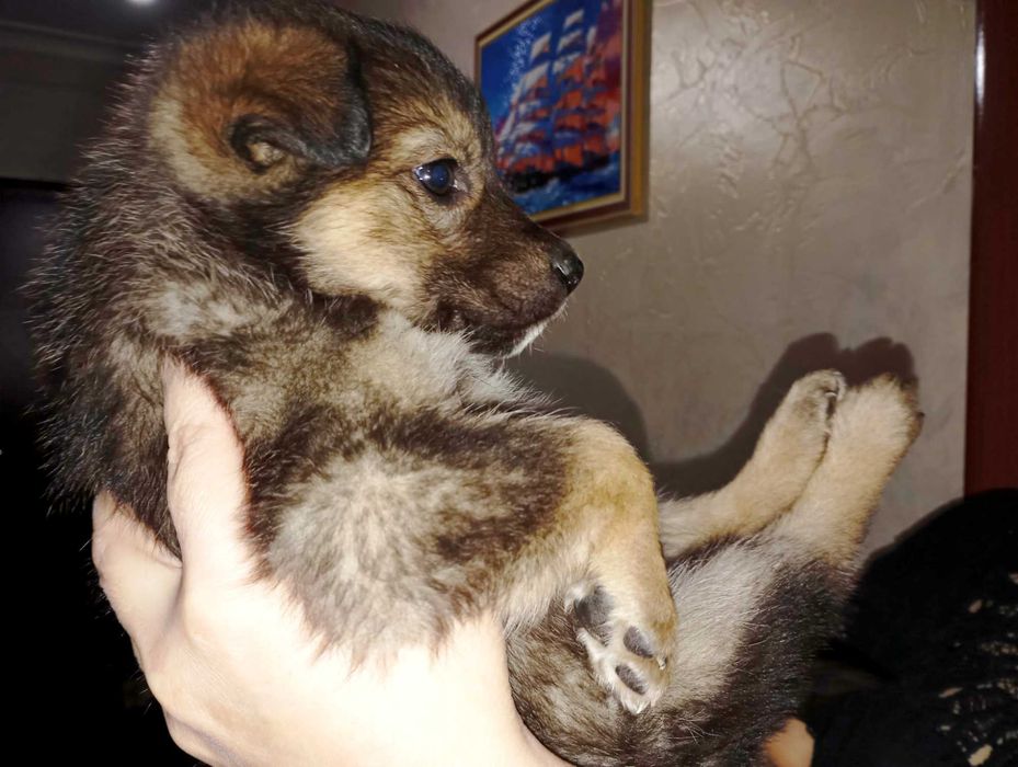 Забери меня, Добрый человек