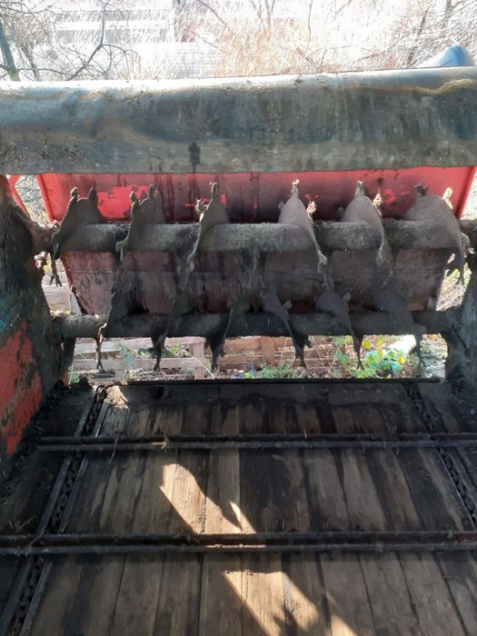 Mig de gunoi,remorca de imprastiat balegar 5.5tone Mengele