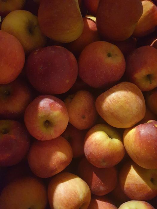 Mere de vânzare diverse soiuri