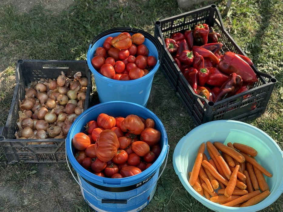 Tocană de legume naturală