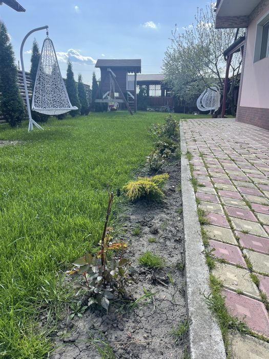 Pamant negru,gazon,gradina,solare