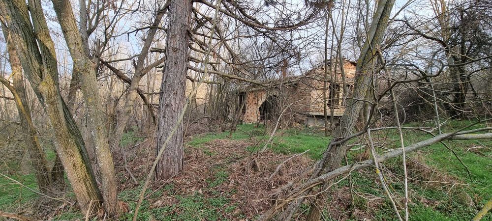 Продава се Къща в с. Побит камък, Област Разград - 100 кв.м за 306 €/кв.м - Снимка #2