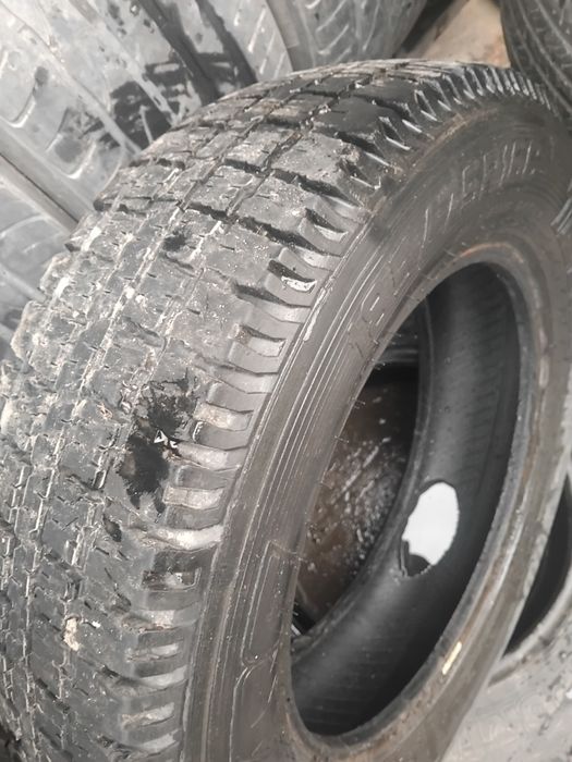 Gazelga balonlar bor xolati zor aybi yoq