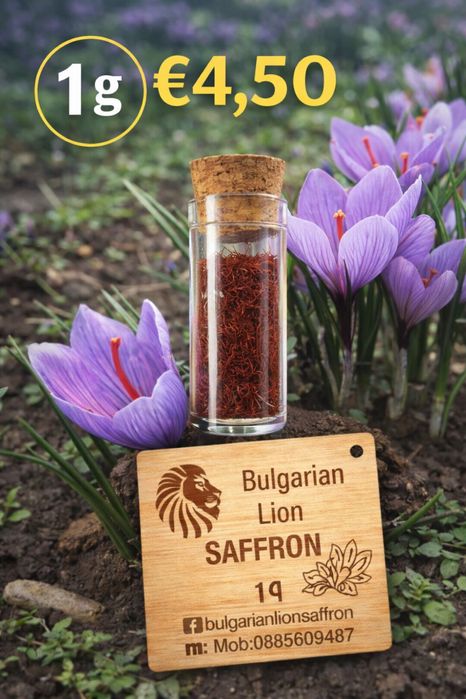 Български шафран BLS