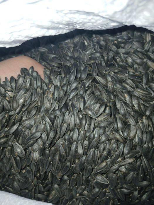 Samanta Floare Lidea Vrac