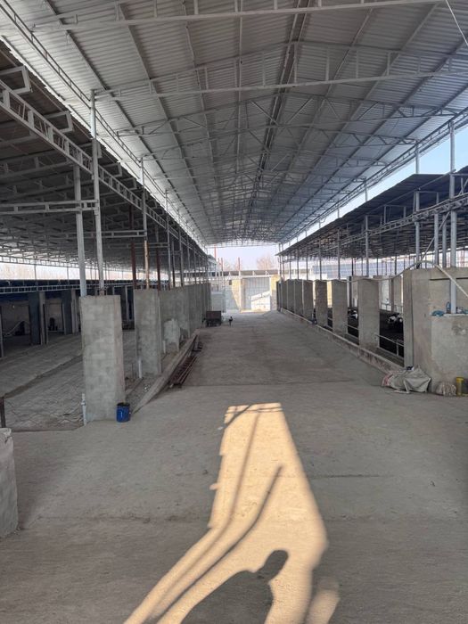 Мол Ферма арендага берилади ёки сотилади